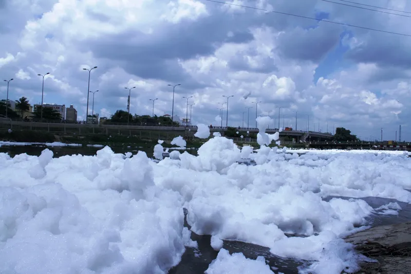 Mỗi khi gặp gió mạnh, bọt trắng bay khắp nơi như tuyết.